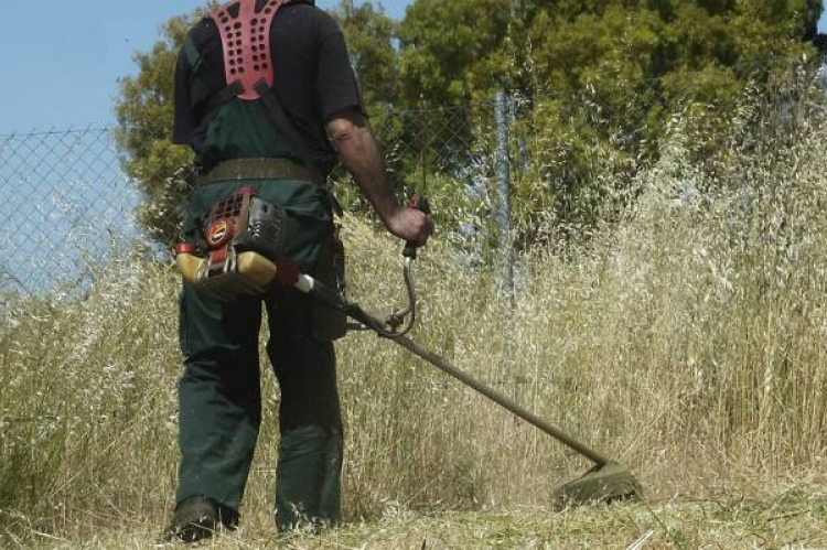 Παρατάθηκε μέχρι 31 Μαΐου η προθεσμία υποβολής δήλωσης στο μητρώο καθαρισμού οικοπέδων