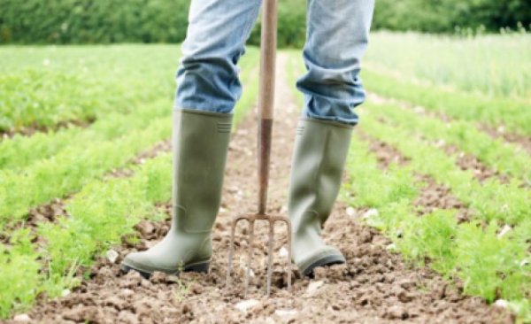 Πρώτες αποζημιώσεις αλλά όχι επιδοτήσεις – οι αγρότες ετοιμάζουν κινητοποιήσεις