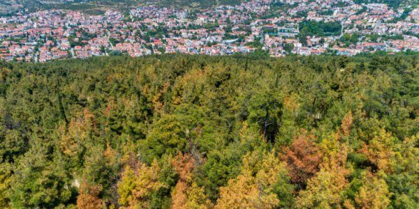 Αλλαγές στη δόμηση σε περιοχές Natura φέρνει το νέο νομοσχέδιο – Τι σημαίνουν για Φάρσαλα και Τύρναβο