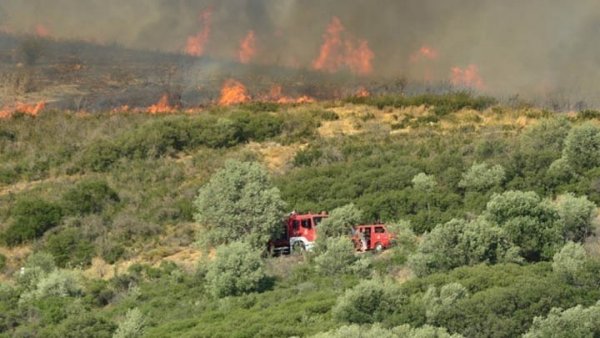 Βόλος: Φωτιά σε δασική περιοχή μεταξύ Κερασιάς και Σουβιάς – Tέθηκε σε μερικό έλεγχο