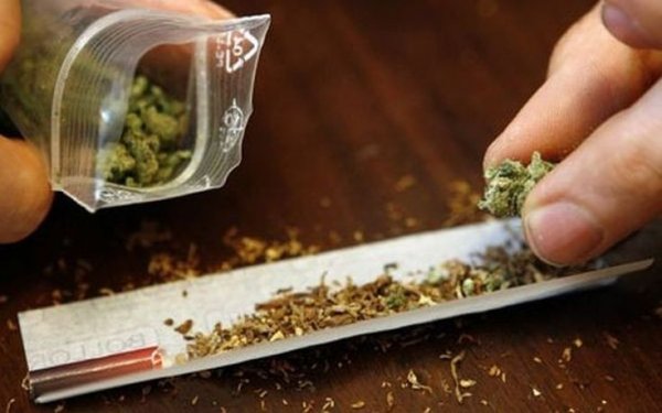 Η χασισοφυτεία στην Αγιά θα τους απέφερε ποσό κοντά στα 25.000.000 ευρώ