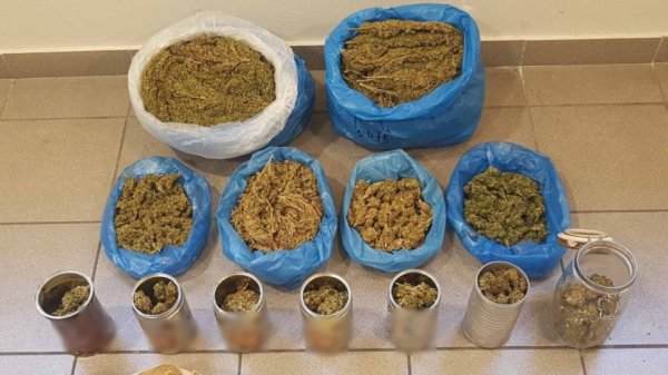 «Χτύπημα» του ελληνικού FBI στο καρτέλ ναρκωτικών: Κατασχέθηκε μισός τόνος υδροπονικής κάνναβης στην Ηγουμενίτσα