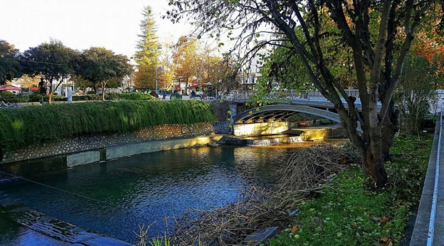 Κωνσταντίνος Παπαπούλιος: Στο 40% οι ακυρώσεις κρατήσεων στα Τρίκαλα λόγω των αγροτικών μπλόκων