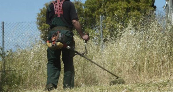 Καμία παράταση για τα ακαθάριστα οικόπεδα – Από 16 Ιουνίου ξεκινάνε συστηματικοί έλεγχο