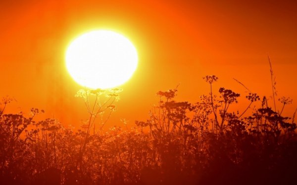 Ευρώπη: Τουλάχιστον 2.300 νεκροί από τον καύσωνα σε 10 ημέρες