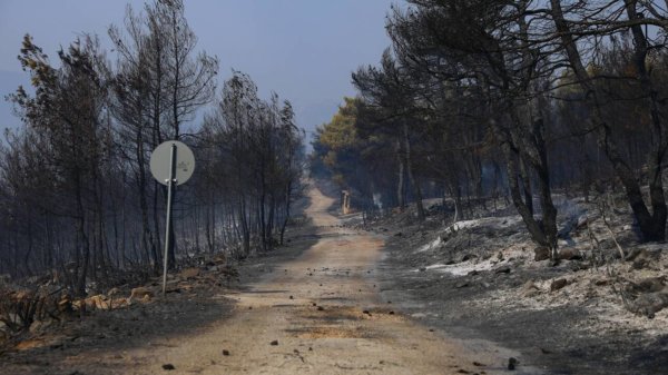 Από Δευτέρα οι αιτήσεις για αποζημιώσεις στους πυρόπληκτους – Πότε ξεκινούν τα αντιπλημμυρικά