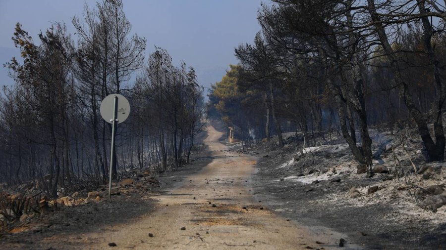 Από Δευτέρα οι αιτήσεις για αποζημιώσεις στους πυρόπληκτους – Πότε ξεκινούν τα αντιπλημμυρικά