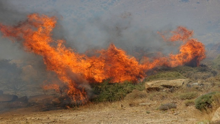 Υψηλός κίνδυνος πυρκαγιάς την Κυριακή στη Λάρισα – Σε ισχύ απαγόρευση κυκλοφορίας σε δάση και περιοχές NATURA