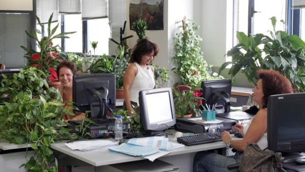 Πράσινο φως για τις αντιδημαρχίες – Λύση στο πρόβλημα του αποκλεισμού των δημοσίων υπαλλήλων