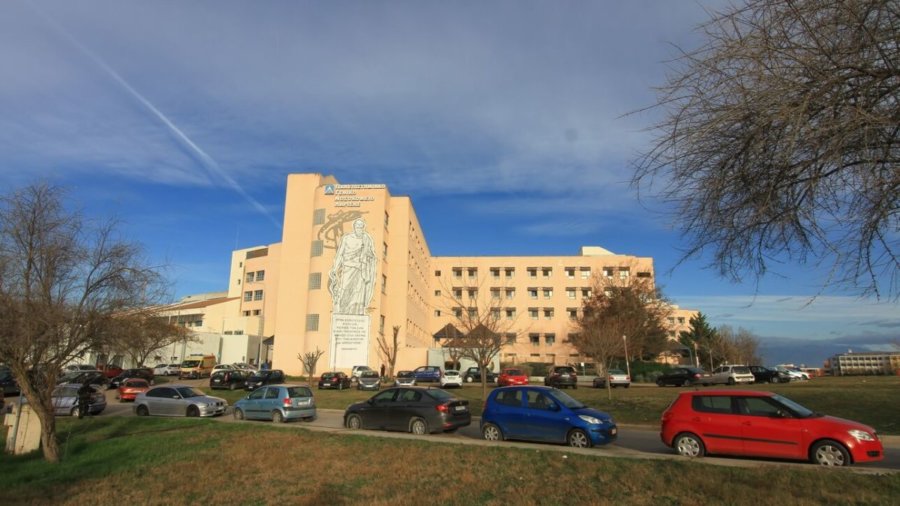 Νεκρός 28χρονος Λαρισαίος σε τροχαίο στην Ελασσόνα