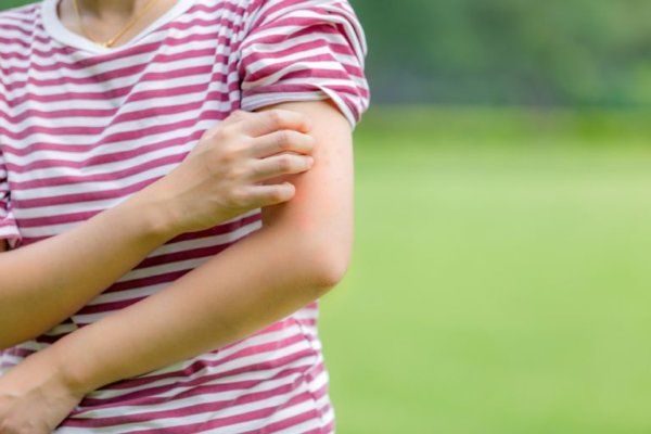 Δειγματοληψία για τον αιμορραγικό πυρετό θα πραγματοποιηθεί στην Ελασσόνα