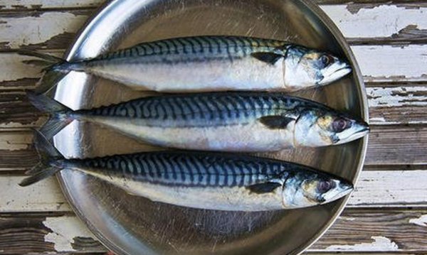 WWF Ελλάς: Η κατανάλωση των ψαριών που έχουν «εισβάλλει» στις θάλασσές μας αποκαθιστά την ισορροπία στο θαλάσσιο περιβάλλον