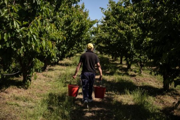 Μέχρι 31 Μαΐου οι αιτήσεις για τη δράση «Μείωση της ρύπανσης νερού από γεωργική δραστηριότητα»