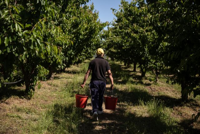 Δ. Καιρίδης: Δόθηκε η πρώτη άδεια διαμονής – 1.500 αλλοδαποί έχουν πάρει ΑΦΜ και εργάζονται νόμιμα