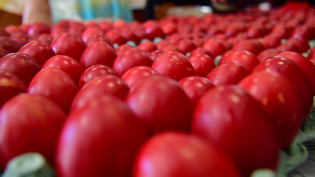 Αλήθειες και μύθοι για τα αυγά – Τελικά είναι ασφαλή;