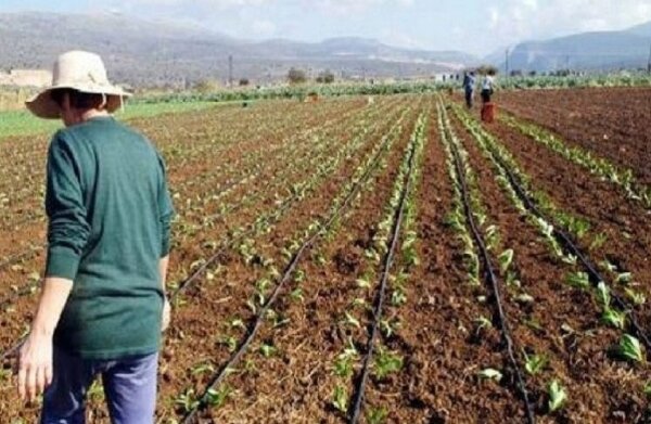 Αίτημα για επιχείρηση “Καθαρά Χέρια” στο Υπουργείο Αγροτικής Ανάπτυξης και Τροφίμων