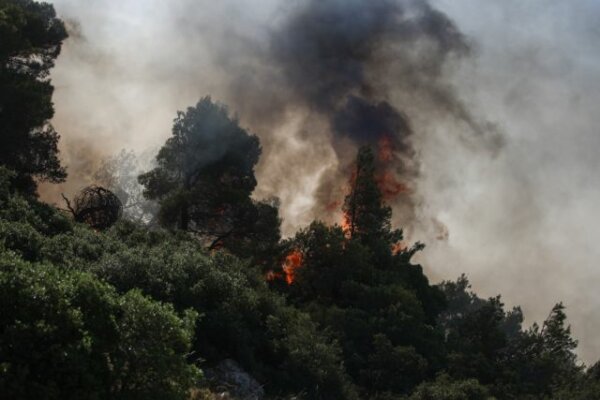 Υψηλός κίνδυνος για πυρκαγιές σήμερα  για περιοχές των Π.Ε. Λάρισας και Μαγνησίας