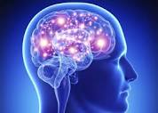 Νέα μελέτη αποκαλύπτει τους παράγοντες που επιταχύνουν τη γήρανση του εγκεφάλου