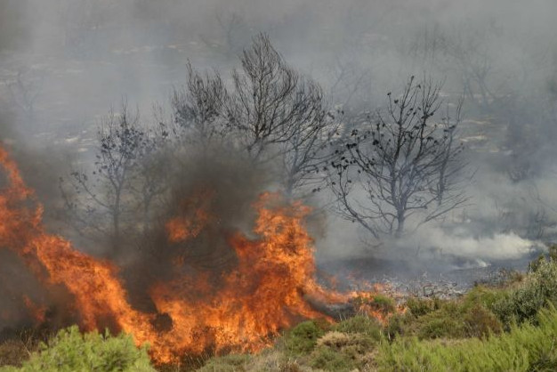 Οι δασικές πυρκαγιές επιδεινώνουν την ποιότητα του αέρα σε απόσταση χιλιάδων χιλιομέτρων