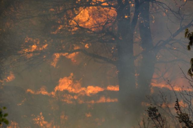 Ελεύθερος με περιοριστικούς όρους ο υπεύθυνος λειτουργίας ΔΕΔΔΗΕ Ρεθύμνου – Αρνήθηκε τις κατηγορίες