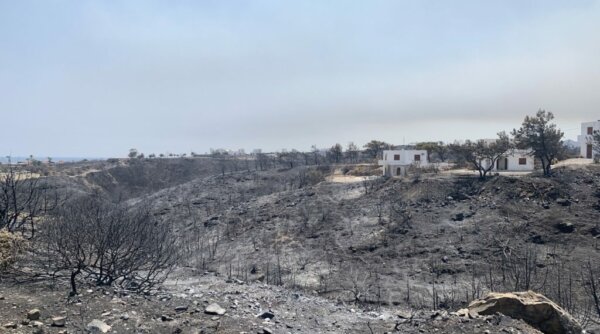 Meteo: Πάνω από 111.000 στρέμματα καμένα στις πυρκαγιές σε Βοιωτία και Αττική