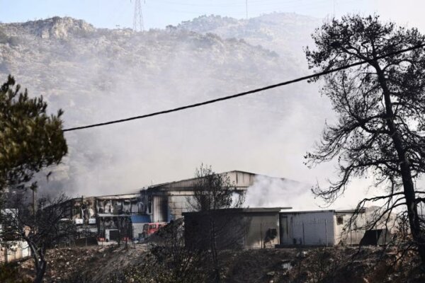 Οριοθετήθηκαν οι φωτιές στη Φθιώτιδα και στα Φάρσαλα