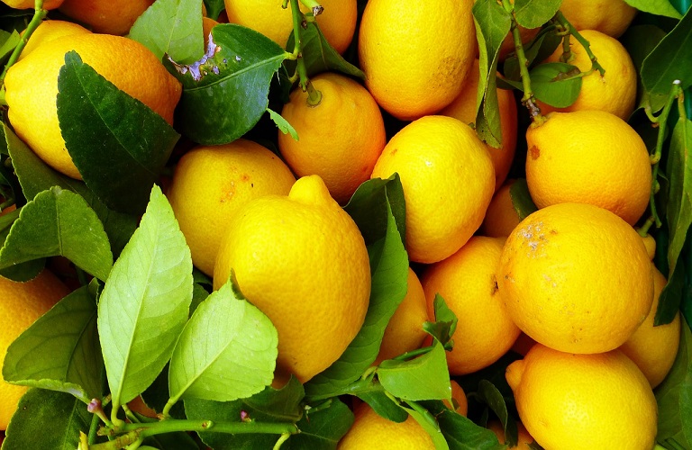Δεν θα πιστεύετε τι συμβαίνει στο σώμα σας όταν καταναλώνετε λεμόνι κάθε μέρα