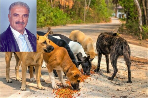 «Εφαρμόστε επιτέλους τον Νόμο για την προστασία των ζώων»: Έκκληση της Ειδικής Γραμματείας