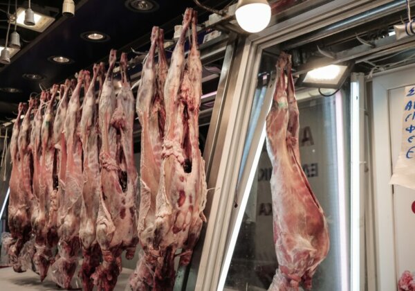 Σταυρόλεξο για δυνατούς λύτες η τελική τιμή των αμνοεριφίων για το Πάσχα