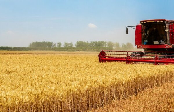 Eurostat: Μειωμένο κατά 3,2% το εμπόριο αγροτικών προϊόντων το 2023