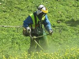 Δημοσιεύθηκε η ΚΥΑ για τα μέτρα προληπτικής πυροπροστασίας και τον υποχρεωτικό καθαρισμό οικοπέδων