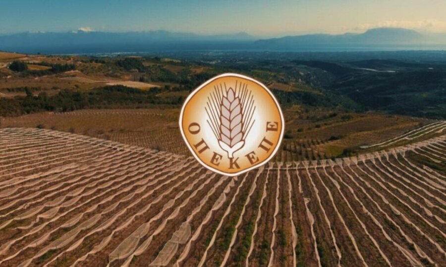Υπάλληλος του ΟΠΕΚΕΠΕ προσπάθησε να παραπλανήσει τις Αρχές – Ετοίμασα σχέδιο με όλες τις σάλτσες»