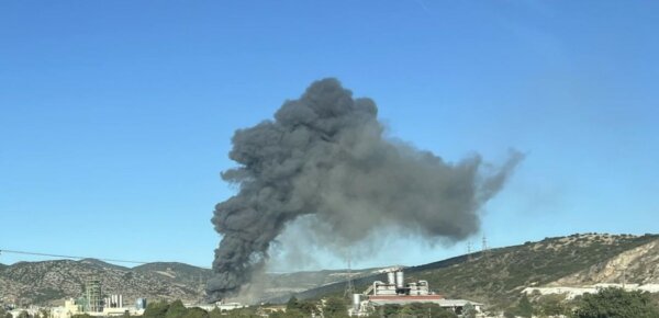 Φωτιά στην Εύβοια: Ενισχύθηκαν οι πυροσβεστικές δυνάμεις – Ισχυροί άνεμοι δυσχεραίνουν την κατάσβεση