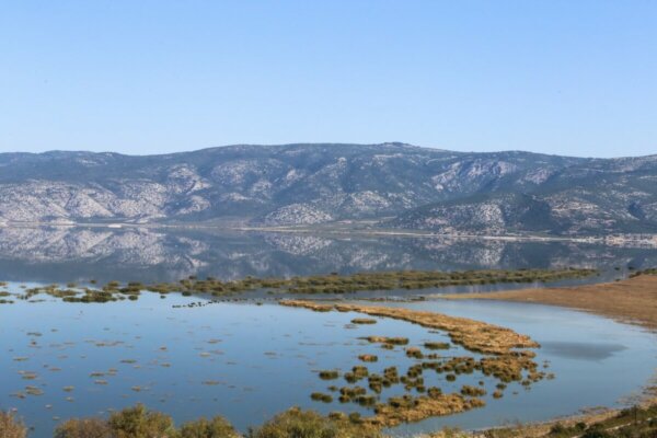 Περιφέρεια: Ποσό 200.000 ευρώ στη Γεωπονική για τις παρακάρλιες