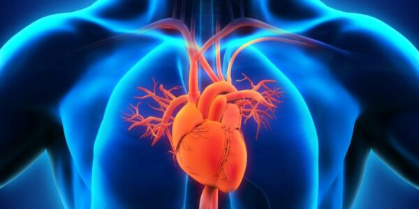 Εξέταση αίματος προβλέπει τον κίνδυνο για την πιο κοινή κληρονομική πάθηση της καρδιάς
