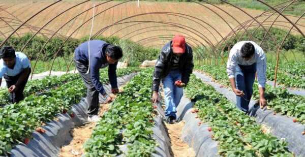 Εκτοξεύτηκε ο αριθμός των συνταξιούχων που εργάζονται – Χρηματοδοτούν οι ίδιοι τις συντάξεις τους