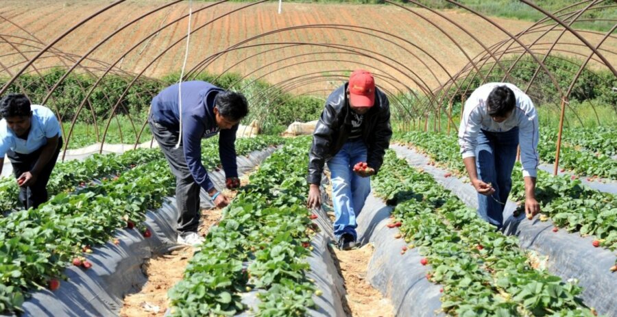 Εκτοξεύτηκε ο αριθμός των συνταξιούχων που εργάζονται – Χρηματοδοτούν οι ίδιοι τις συντάξεις τους