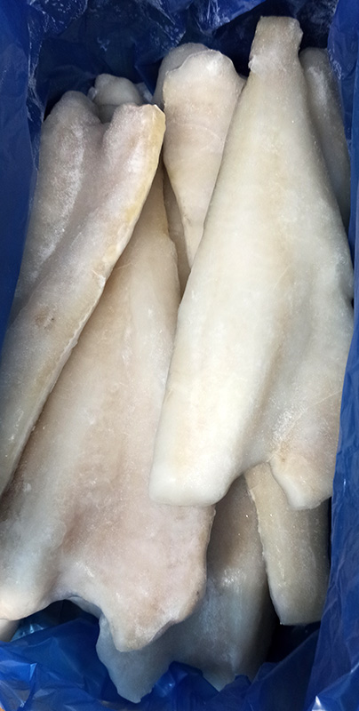 25η Μαρτίου 2026: Έως 27 ευρώ το κιλό ο παραδοσιακός μπακαλιάρος, οι τιμές στα ιχθυοπωλεία και στα σούπερ μάρκετ