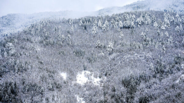 Σφοδρή χειμερινή καταιγίδα θα πλήξει 150 εκατ. Αμερικανούς: «Δεν είναι υπερβολή ούτε αστείο» προειδοποιούν οι μετεωρολόγοι
