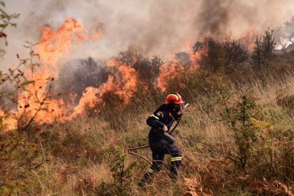 Λάρισα: Υπό μερικό έλεγχο η πυρκαγιά στην περιοχή Όσσα του δήμου Τεμπών