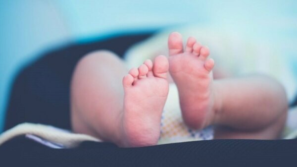 Eurostat: Δημογραφική συρρίκνωση στην Ευρώπη – Η Ελλάδα επιστρέφει πληθυσμιακά στο 1940 έως το 2100