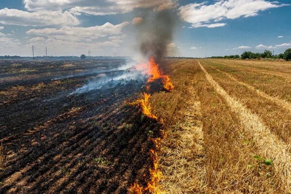 Υψηλός ο κίνδυνος πυρκαγιάς σήμερα, Κυριακή στο νομό Λάρισας