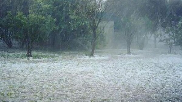 Χαλάζι και δυνατή βροχή προκάλεσε ζημιές σε καλλιέργειες στη Θεσσαλία