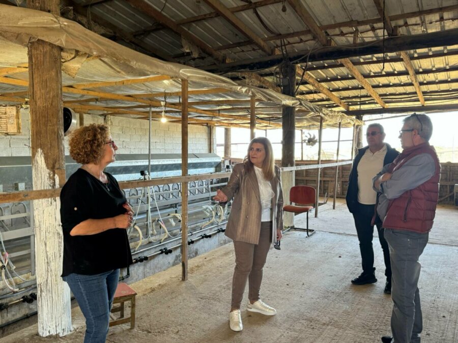 Ε. Λιακούλη: Απελπιστική η κατάσταση σε κτηνοτροφικές μονάδες και χωράφια