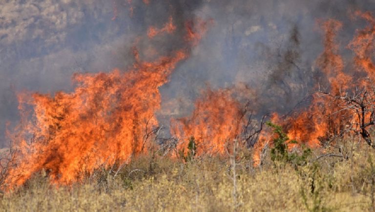 Πυρασφάλεια: Οκτώ θέσεις για οδηγούς και εργάτες στον δήμο Λαρισαίων