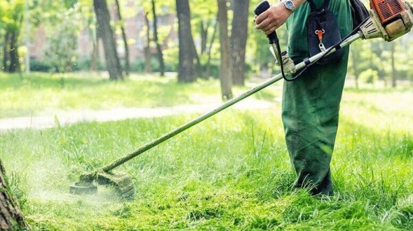 Δήμος Ελασσόνας: Προσλήψεις 14 εργατών πρασίνου και οδηγών