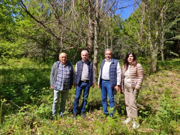 Η μελάνωση απειλεί τη βιωσιμότητα της καστανιάς στα Αμπελάκια