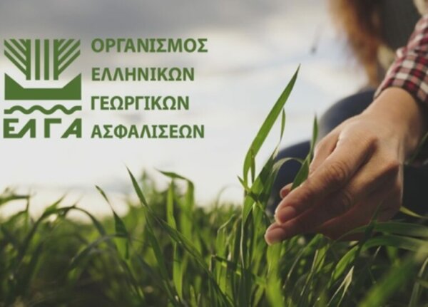 ΕΛΓΑ: Σε άμεση εφαρμογή το πρόγραμμα αντιχαλαζικής προστασίας ύψους 3,7 εκ. ευρώ