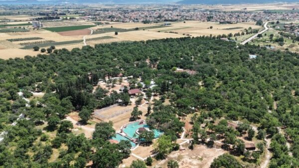 Αλμυρός: Ανοιχτό το Δάσος Κουρί με δείκτη επικινδυνότητας πυρκαγιάς κατηγορίας 3