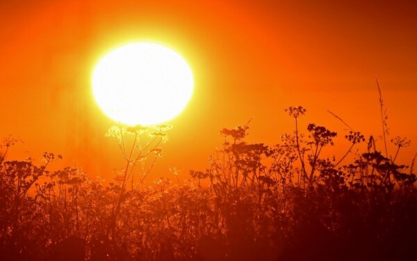 Καιρός: Καμίνι η χώρα από Δευτέρα – Πάνω από 42°C για μέρες